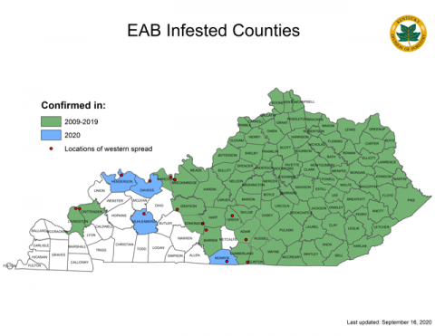 EAB Infested Counties of Kentucky